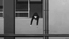 upload_2026-8-10_22-45-26.gif